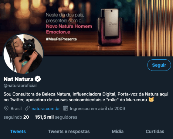 perfil de uma influenciadora digital no twitter